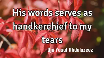 His words serves as handkerchief to my tears