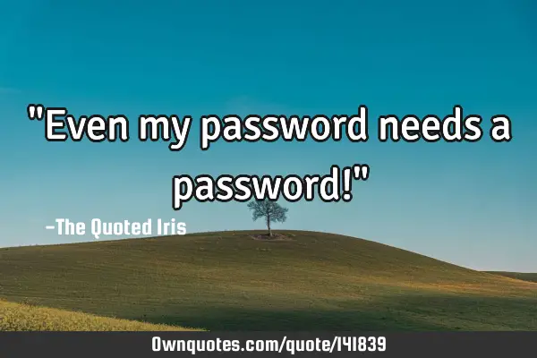 "Even my password needs a password!"