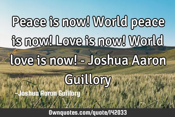 Peace is now! World peace is now! Love is now! World love is now! - Joshua Aaron G