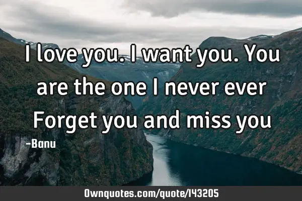 I love you. I want you. You are the one I never ever Forget you and miss