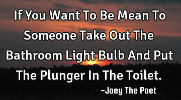 If You Want To Be Mean To Someone Take Out The Bathroom Light Bulb And Put The Plunger In The T