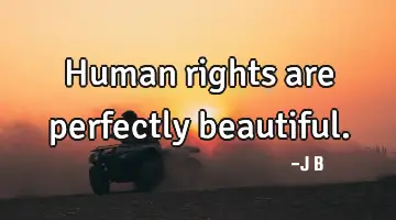 Human rights are perfectly