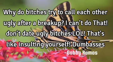 Why do bitches try to call each other ugly after a breakup? I can