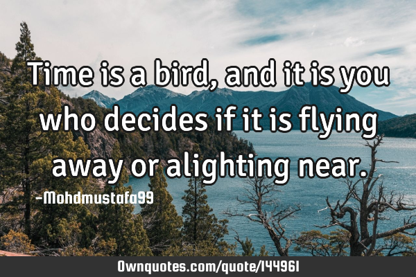 Time is a bird, and it is you who decides if it is flying away or alighting