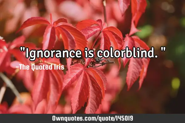 "Ignorance is colorblind."