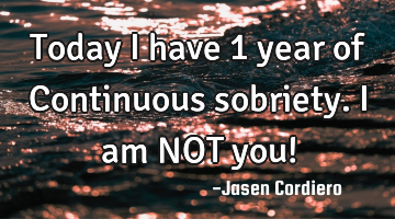 Today I have 1 year of Continuous sobriety. I am NOT you!