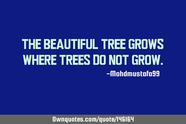 The beautiful tree grows where trees do not