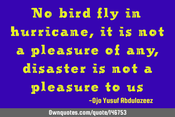 No bird fly in hurricane, it is not a pleasure of any, disaster is not a pleasure to