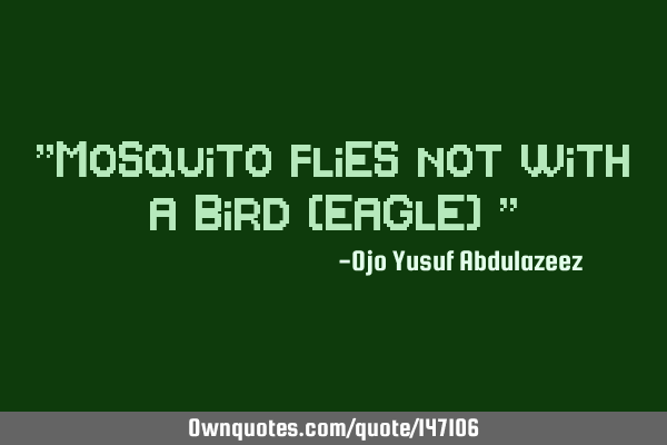 "Mosquito flies not with a bird (eagle) "