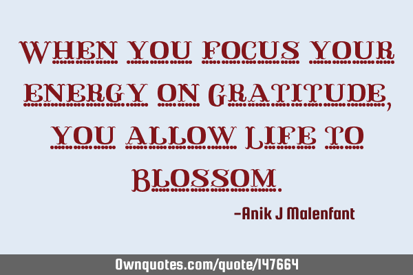 When you focus your energy on Gratitude, you allow Life to B