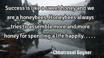 Success is like a sweet honey and we are a honeybees. Honeybees always tries to assemble more and