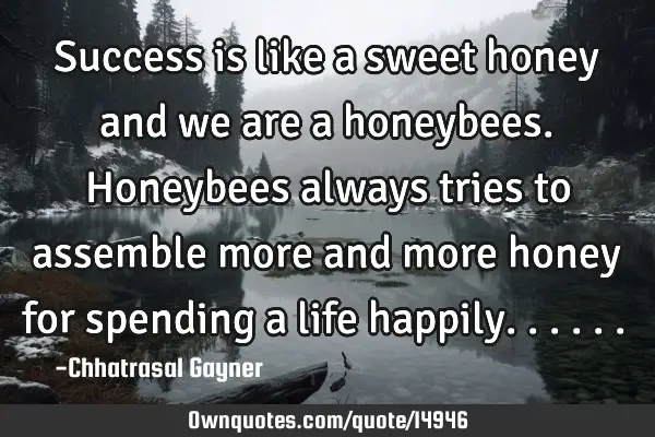 Success is like a sweet honey and we are a honeybees. Honeybees always tries to assemble more and