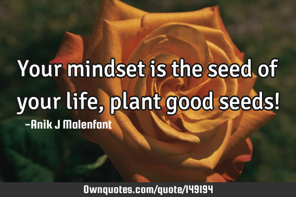 Your mindset is the seed of your life, plant good seeds!