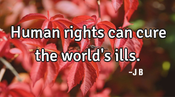 Human rights can cure the world