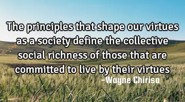 The principles that shape our virtues as a society define the collective social richness of those