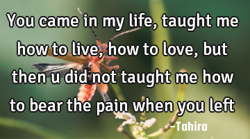 You came in my life, taught me how to live, how to love, but then u did not taught me how to bear