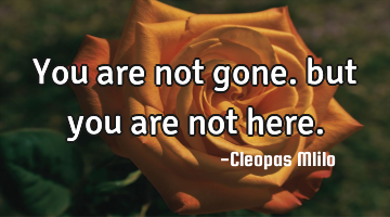 You are not gone. but you are not here.