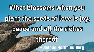 What blossoms when you plant the seeds of love Is joy, peace and all the riches thereof