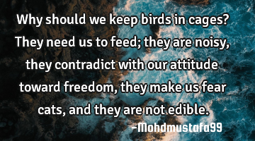 Why should we keep birds in cages? They need us to feed; they are noisy, they contradict with our