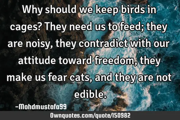 Why should we keep birds in cages? They need us to feed; they are noisy, they contradict with our