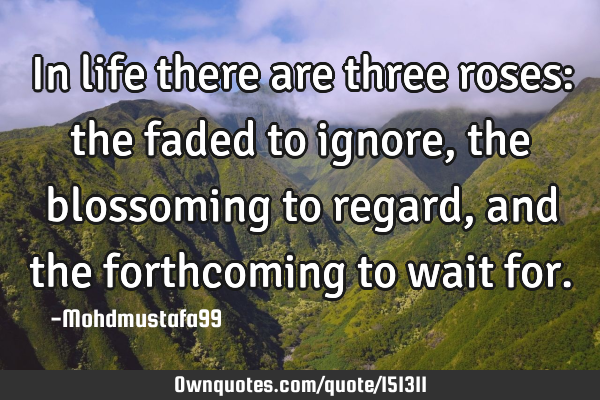 In life there are three roses: the faded to ignore, the blossoming to regard, and the forthcoming