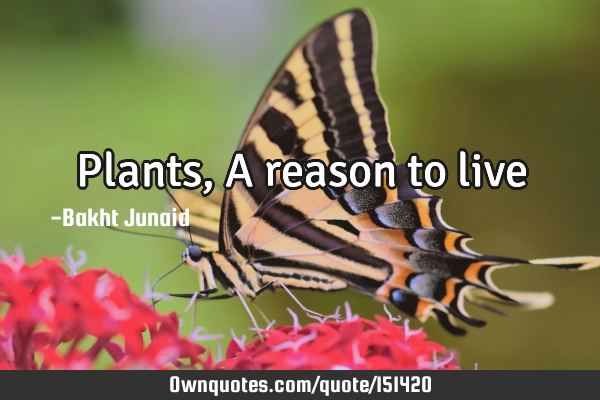 Plants, A reason to