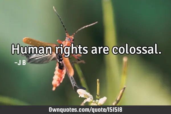 Human rights are