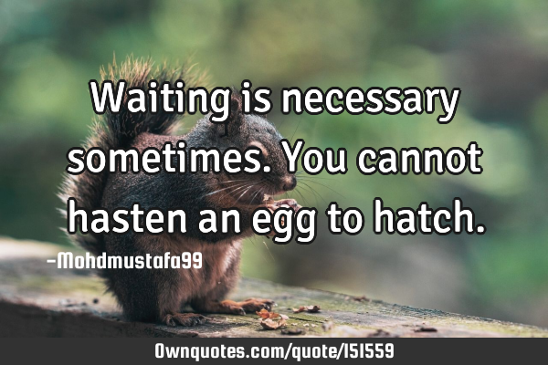 Waiting is necessary sometimes. You cannot hasten an egg to