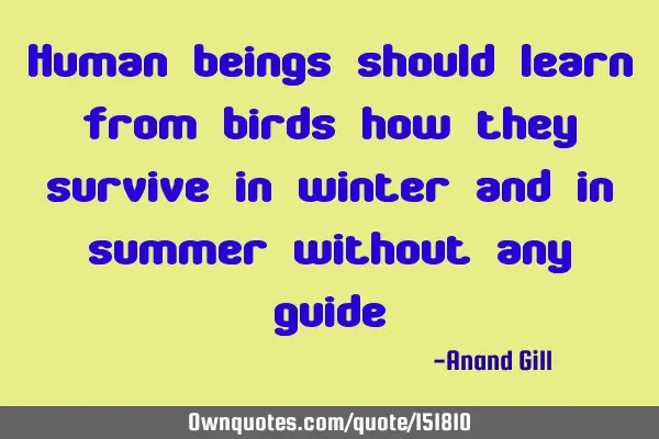 Human beings should learn from birds, how they survive in winter and in summer without any