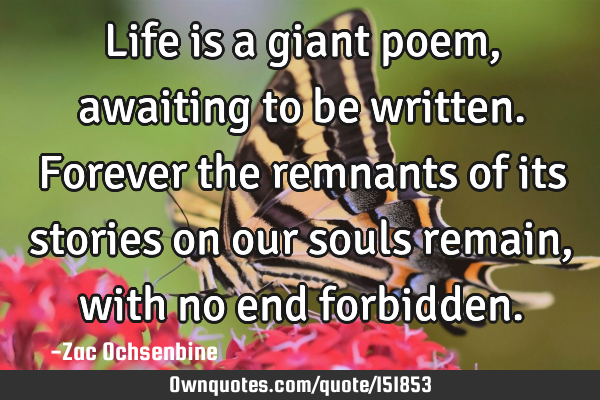 Life is a giant poem, awaiting to be written. Forever the remnants of its stories on our souls