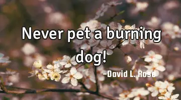 Never pet a burning dog!