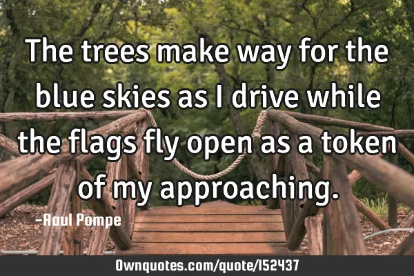 The trees make way for the blue skies as I drive while the flags fly open as a token of my