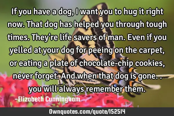 If you have a dog, I want you to hug it right now. That dog has helped you through tough times. T