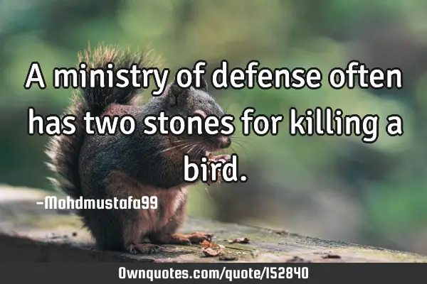 A ministry of defense often has two stones for killing a