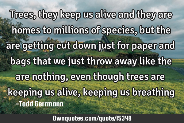 Trees, they keep us alive and they are homes to millions of species, but the are getting cut down