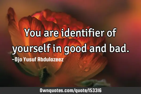 You are identifier of yourself in good and