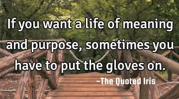 If you want a life of meaning and purpose, sometimes you have to put the gloves on.