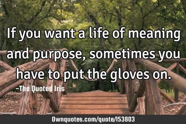 If you want a life of meaning and purpose, sometimes you have to put the gloves