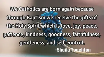 We Catholics are born again because through Baptism we receive the gifts of the Holy Spirit which