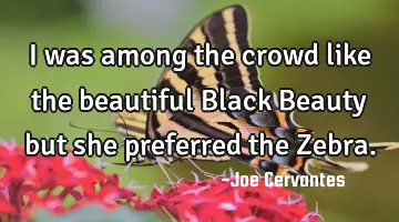I was among the crowd like the beautiful Black Beauty but she preferred the Z