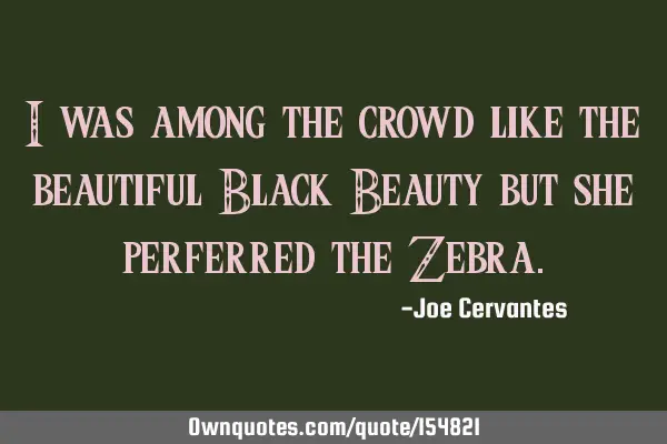 I was among the crowd like the beautiful Black Beauty but she preferred the Z