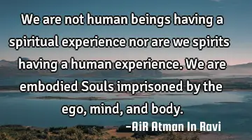 We are not human beings having a spiritual experience nor are we spirits having a human experience.