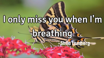 I only miss you when I