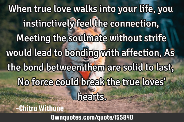 When true love walks into your life, you instinctively feel the connection,
Meeting the soulmate