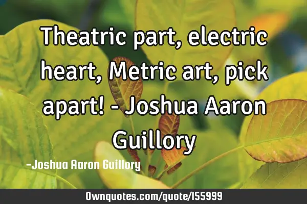 Theatric part, electric heart, Metric art, pick apart! - Joshua Aaron G