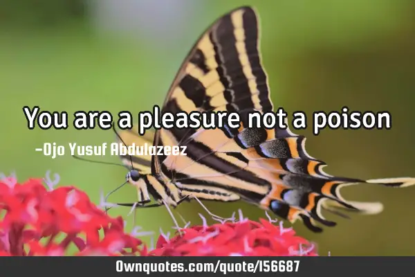 You are a pleasure not a