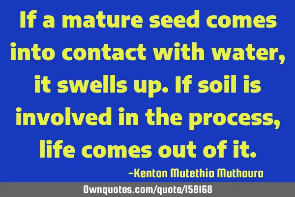 If a mature seed comes into contact with water,it swells up.If soil is involved in the process,life