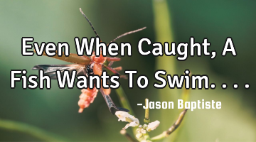 Even When Caught, A Fish Wants To Swim....