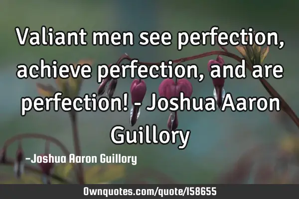 Valiant men see perfection, achieve perfection, and are perfection! - Joshua Aaron G