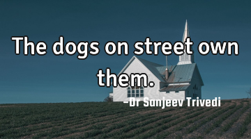 The dogs on street own them.